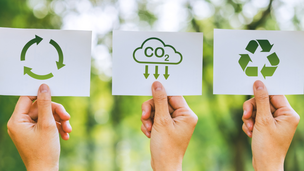 the-first-word-seneko